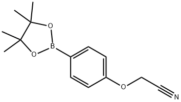 4-CYANOMETHOXY-PHENYLBORONIC ACID, PINACOL ESTER Structure