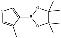 4-甲基噻吩-3-硼酸频哪酯, 476620-20-9, 结构式