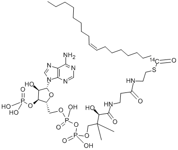 OLEOYL COENZYME A, [OLEOYL-1-14C]- Struktur