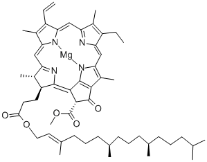 クロロフィルa 化学構造式
