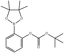 炭酸T-ブチル2-(4,4,5,5-テトラメチル-1,3,2-ジオキサボロラン-2-イル)フェニル 化学構造式
