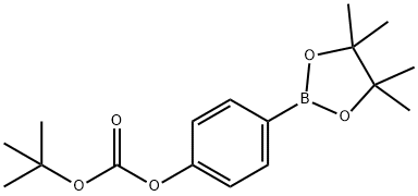 炭酸T-ブチル4-(4,4,5,5-テトラメチル-1,3,2-ジオキサボロラン-2-イル)フェニル 化学構造式