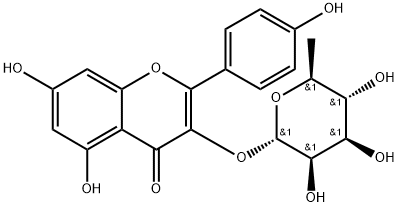 3-[(6-デオキシ-α-L-マンノピラノシル)オキシ]-5,7-ジヒドロキシ-2-(4-ヒドロキシフェニル)-4H-1-ベンゾピラン-4-オン 化学構造式
