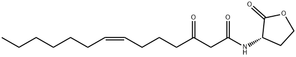 N-3-oxo-tetradec-7(Z)-enoyl-L-Homoserine lactone, 482598-46-9, 结构式
