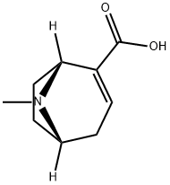 (1R,5S)-8-メチル-8-アザビシクロ[3.2.1]オクタ-2-エン-2-カルボン酸 化学構造式