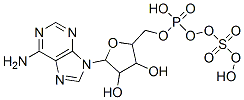 6-amino-9-[3,4-dihydroxy-5-[(hydroxy-sulfooxy-phosphoryl)oxymethyl]oxolan-2-yl]-purine