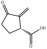 (1R)-2-メチレン-3-オキソシクロペンタン-1-カルボン酸 化学構造式