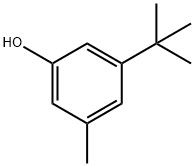 5-tert-ブチル-3-メチルフェノール 化学構造式