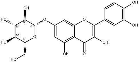 491-50-9 槲皮素-7-O-BETA-D-吡喃葡萄糖苷