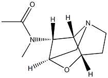 N-ACETYLLOLINE Structure