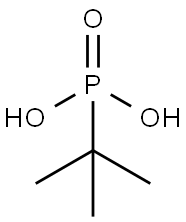 TERT-BUTYLPHOSPHONIC ACID Structure