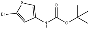 2-BROMO-4-(N-TERT-BUTYLOXYCARBONYLAMINO)THIOPHENE Structure