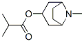 トロピンイソブチラート 化学構造式