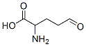 2-amino-5-oxo-pentanoic acid Struktur