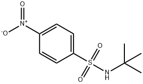 N-tert-Butyl 4-Nitrophenylsulfonamide Struktur