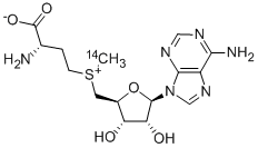 ADENOSYL-L-METHIONINE, S-[METHYL-14C], 4989-98-4, 结构式