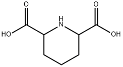 2,6-piperidinedicarboxylic acid Struktur