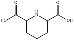 哌啶-2,6-二甲酸,499-82-1,结构式