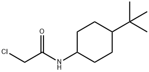 N-(4-TERT-ブチルシクロヘキシル)-2-クロロアセトアミド 化学構造式