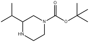 1-BOC-3-异丙基哌嗪, 502649-32-3, 结构式