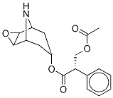 [7(S)-(1α,2β,4β,5α,7β)]- α-[(Acetyloxy)Methyl]-benzeneacetic Acid 3-Oxa-9-azatricyclo[3.3.1.02,4]non-7-yl Ester Struktur