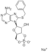 8-BENZYLTHIOADENOSINE-3',5'-CYCLIC MONOPHOSPHATE SODIUM SALT|