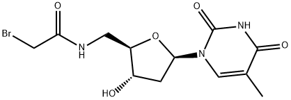 5'-bromoacetamido-5'-deoxythymidine|