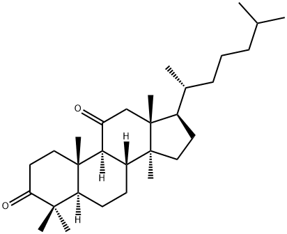 Lanostane-3,11-dione Structure