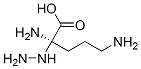 alpha-hydrazinoornithine Structure