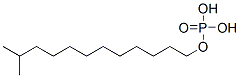 isotridecyl dihydrogen phosphate Structure