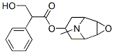 スコポラミン 化学構造式