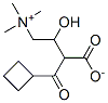 cyclobutanecarbonylcarnitine Structure