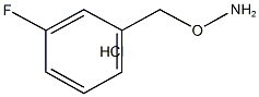 1-[(アミノオキシ)メチル]-3-フルオロベンゼン塩酸塩 化学構造式