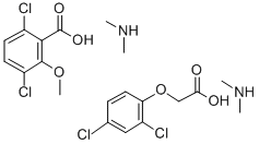 dialen Structure