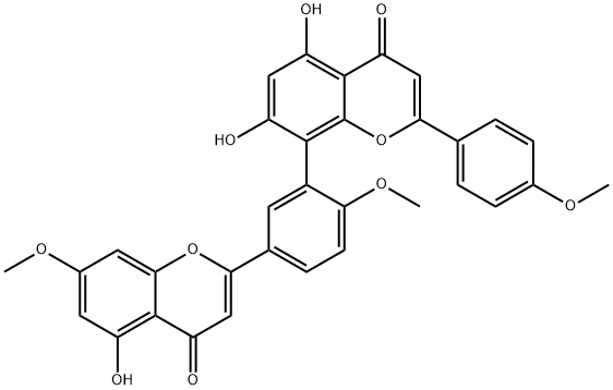 SCIADOPITYSIN