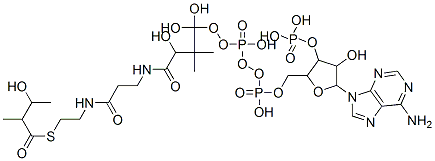 [5-(6-aminopurin-9-yl)-4-hydroxy-2-[[hydroxy-[hydroxy-[3-hydroxy-3-[2-[2-(3-hydroxy-2-methyl-butanoyl)sulfanylethylcarbamoyl]ethylcarbamoyl]-2,2-dimethyl-propoxy]-phosphoryl]oxy-phosphoryl]oxymethyl]oxolan-3-yl]oxyphosphonic acid Structure