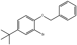 1-Benzyloxy-2-broMo-4-t-butylbenzene, 52458-11-4, 结构式