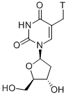 THYMIDINE, [METHYL-3H],52497-68-4,结构式