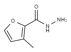 2-Furancarboxylicacid,3-methyl-,hydrazide(9CI) Struktur