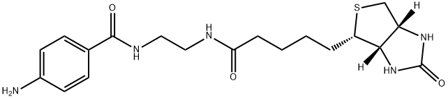 1H-Thieno[3,4-d]iMidazole-4-pentanaMide, N-[2-[(4-aMinobenzoyl)aMino]ethyl]hexahydro-2-oxo-, (3aS,4S,6aR)-|