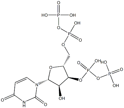 uridine 3'-diphosphate 5'-diphosphate Struktur
