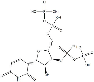 uridine 3'-diphosphate 5'-diphosphate Structure