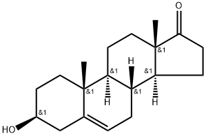 Structure of Dehydroepiandrosterone Structure of Dehydroepiandrosterone