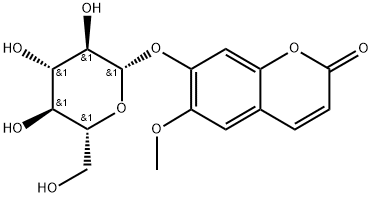 东莨菪甙的应用及制备