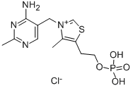 THIAMINE MONOPHOSPHATE CHLORIDE|磷硫胺