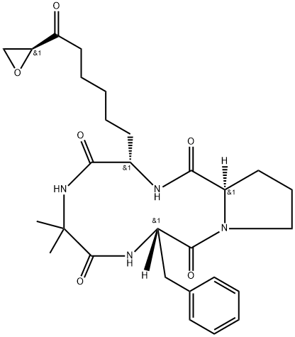 CHLAMYDOCIN Structure