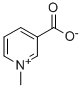Structure of trigonelline Structure of trigonelline