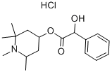 塩酸ユーカトロピン 化学構造式