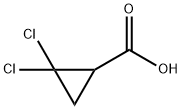 2,2-ジクロロシクロプロパン-1-カルボン酸 化学構造式