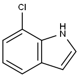 7-氯吲哚,53924-05-3,结构式